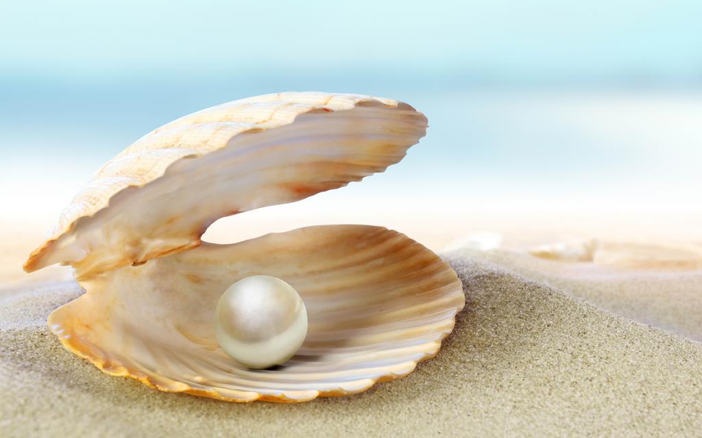 Die Perle Zandvoort Phòng bức ảnh